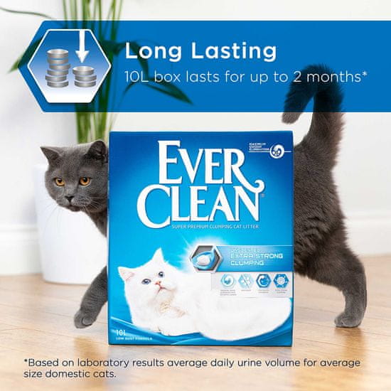 Ever clean extra strong unscented clearance