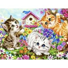 Maaleo Slikanje po številkah 40x50cm- mačke Maaleo 22781