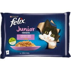 Felix Kapsule cat.-Fant.Multipack Junior v želeju 4 x 85 g