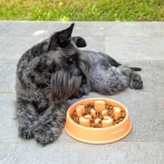 UNBRANDED Slow Eating Food Bowl for Pets Slowfi InnovaGoods 