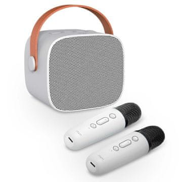 Northix Prenosni komplet za karaoke z brezžičnimi mikrofoni