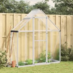 shumee Rastlinjak z okvirjem srebrn 169x58x195 cm aluminij