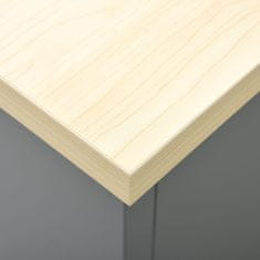 Vidaxl Delovna miza črna 160x60x85 cm jeklo