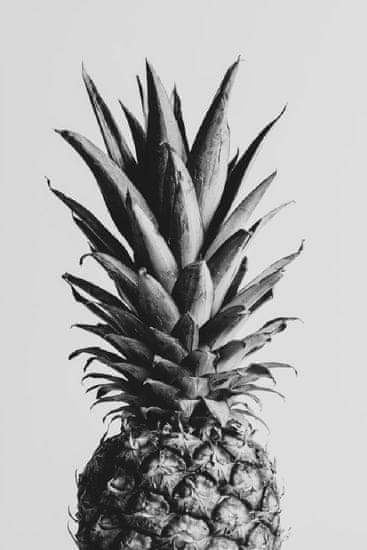Pelcasa Pineapple Black Aamp White 02 - 30x40 cm