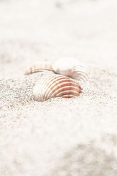 Pelcasa Beach_013 - 70x100 cm