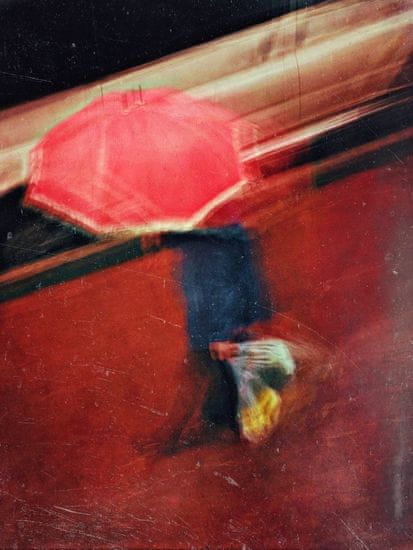 Pelcasa Rainy Dream - 50x70 cm