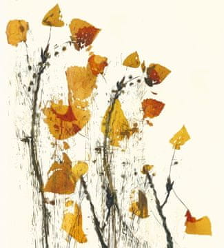 Pelcasa Leaves Still Life - 50x70 cm