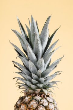 Pelcasa Pineapple Yellow 04 - 50x70 cm