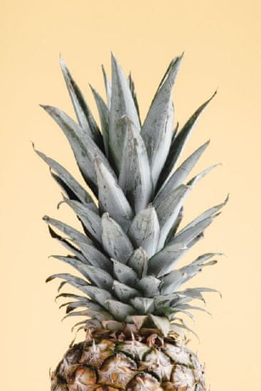 Pelcasa Pineapple Yellow 04 - 21x30 cm