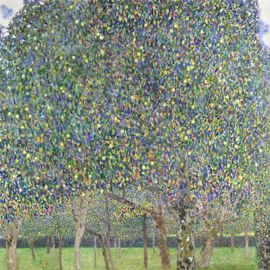 Pelcasa Pear Tree (1903) - 70x100 cm