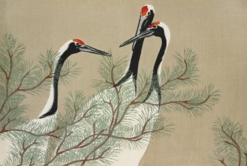 Pelcasa Cranes From Momoyogusa - 70x100 cm