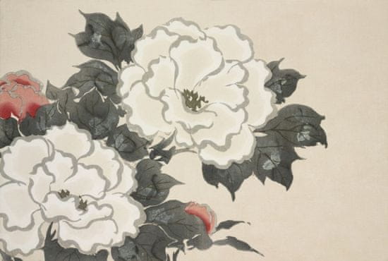 Pelcasa Flowers From Momoyogusa - 30x40 cm
