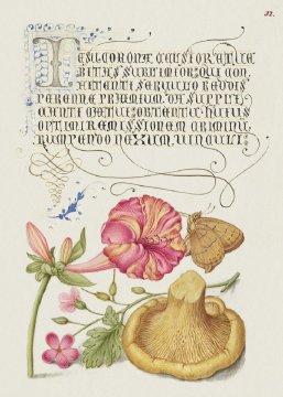 Pelcasa Mira Calligraphiae Monumenta - 70x100 cm