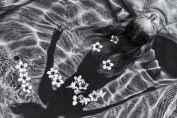 Pelcasa Frangipani Tree - 21x30 cm