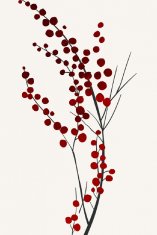 Pelcasa Mistletoe Kisses - 30x40 cm 