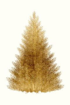 Pelcasa A Merry Christmas - 30x40 cm