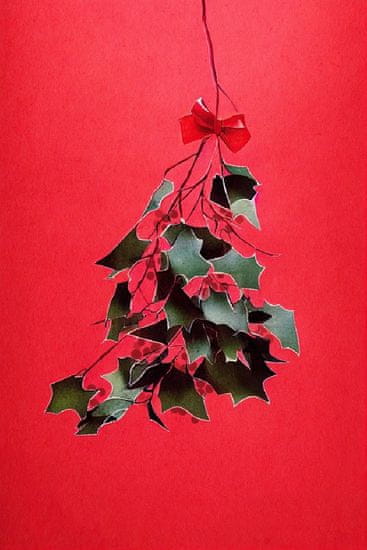 Pelcasa Mistletoe With Red Bow - 50x70 cm
