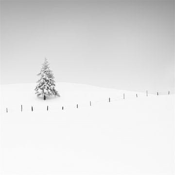Pelcasa Placeholder - 50x70 cm