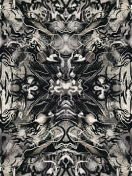 Pelcasa Organic Symmetrical Abstract - 70x100 cm