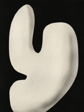 Pelcasa Abstract White Sculpture Y - 70x100 cm