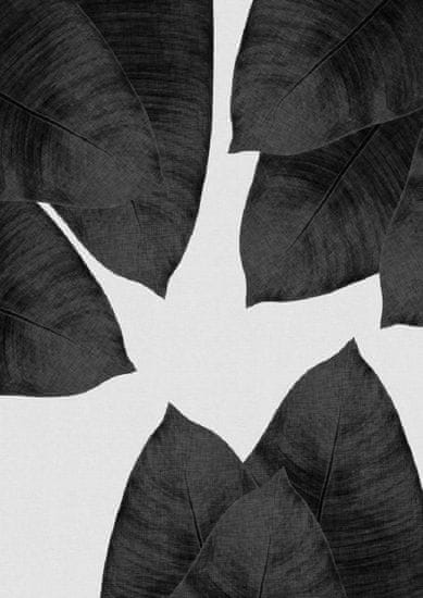 Pelcasa Banana Leaf Black A White I - 21x30 cm