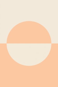 Pelcasa Peach 11 - 70x100 cm