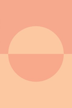 Pelcasa Peach 13 - 21x30 cm