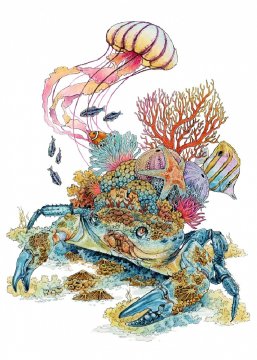 Pelcasa Moving With The Tide - 30x40 cm
