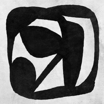 Pelcasa Abstract Melody - 30x40 cm