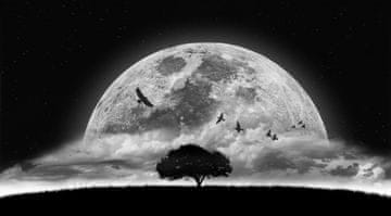 Pelcasa A Dream - 30x40 cm