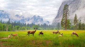 Pelcasa A Feeling Of Ancient Time - 30x40 cm