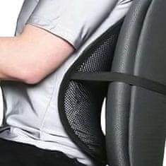 Netscroll Ergonomsko naslonjalo za sedenje, mrežasta ledvena opora za pisarno, dom in avto stol, nastavljiva lahka blazina z masažnimi kroglicami za maksimalno udobje, SupportBack