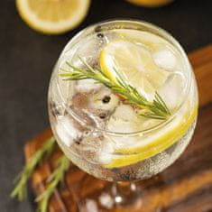 Set kelih za gin 645ml / 6 kos / steklo