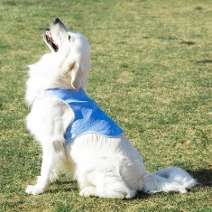 UNBRANDED InnovaGoods Refreshing Pet Vest for Large Pets - L 