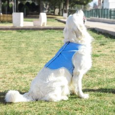 UNBRANDED InnovaGoods Refreshing Pet Vest for Large Pets - L 