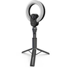 Lorgan Circulus 910