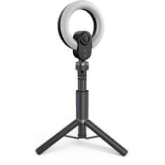 Lorgan Circulus 910