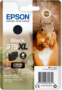 Epson kartuša T3791 črna (veverica)