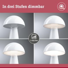 Paulmann Namizna LED svetilka 2,6W IP44 2700K