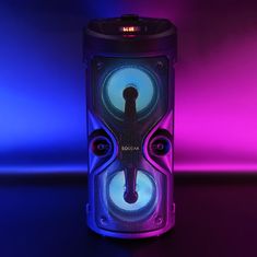 slomart SQUEAK KARAOKE ZVOČNIK HARMONY BT 5.0 SQ1004 - Vrhunski Prenosni Zvočnik