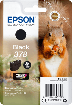 Epson kartuša T3781 črna (veverica)