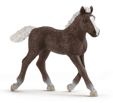 Schleich Horse Club 13899 Schwarzwaldski konj - žrebiček