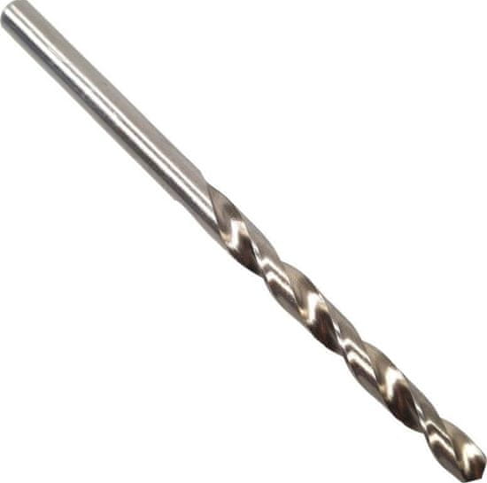 shumee ROOKS SVEDER ZA KOVINO PRO FI 10 MM, HSS G 900 N/MM2, DIN 338