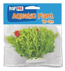happet Folija rastlina 10cm 1f25 Happet