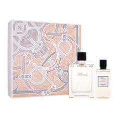 Hermès Terre d´Hermès SET3 Set toaletna voda 100 ml + gel za prhanje 80 ml za moške