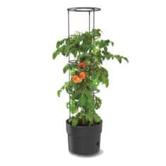 botle 3x Lonec Paradižnik jagode fižol kumare 35cm + zemlja, univerzalni substrat 45L