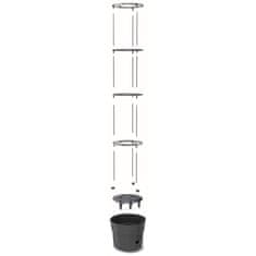 botle 3x Paradižnik v loncu jagode fižol kumare 35 cm