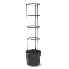 botle 3x Lonec Paradižnik jagode fižol kumare 35cm + zemlja, univerzalni substrat 45L