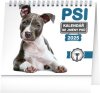 Namizni koledar Psi - z imeni psov 2025
