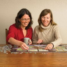 Cobble Hill Sunbeam Puzzle 500 kosov